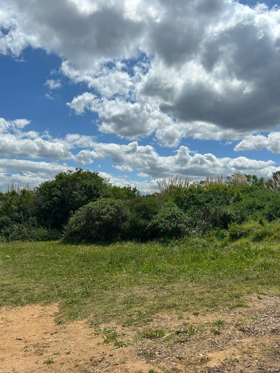 0 Bedroom Property for Sale in Hawston Western Cape